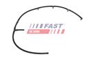 FAST FT00775
