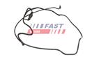 FAST FT00972