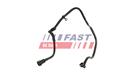 FAST FT00976