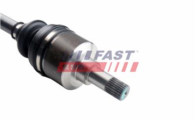 FAST FT01487