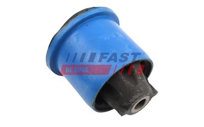 FAST FT10178 EAN: 5904157819452.