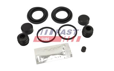 FAST FT10256 EAN: 5904157820588.