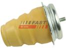 FAST FT18100