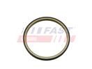 FAST FT30201