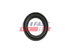 FAST FT32483