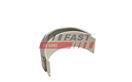 FAST FT46317/1