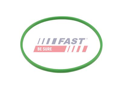 FAST FT48433 EAN: 5904157889097.