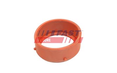 FAST FT48813 EAN: 5904157895838.