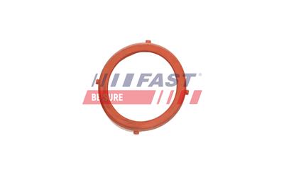 FAST FT48813 EAN: 5904157895838.