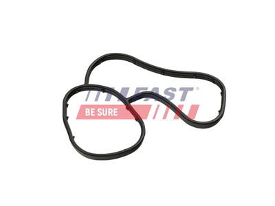 FAST FT48941 EAN: 5904157879609.