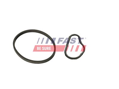 FAST FT48943 EAN: 5904157846014.