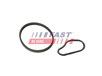 FAST FT48814 EAN: 5904157811869.