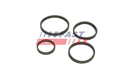 FAST FT48949 EAN: 5904157820236.