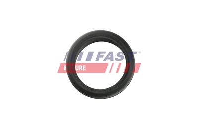 FAST FT48940 EAN: 5904157869662.