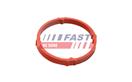 FAST FT48960