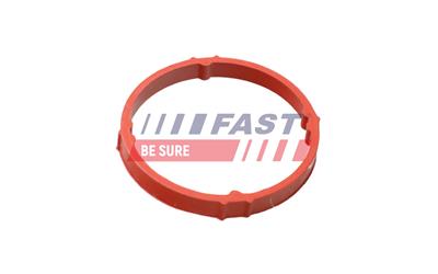 FAST FT48960 EAN: 5904157828485.
