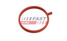 FAST FT48963
