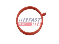 FAST FT48963