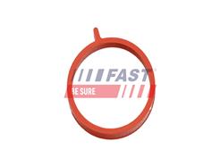FAST FT49375