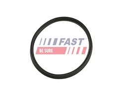 FAST FT48965