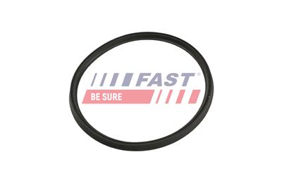 FAST FT48965 EAN: 5904157886607.