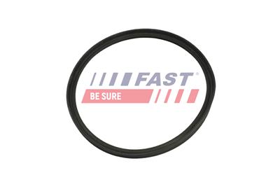 FAST FT49318 EAN: 5904157810565.