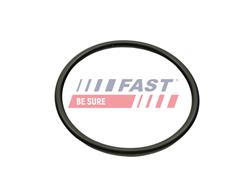FAST FT49460