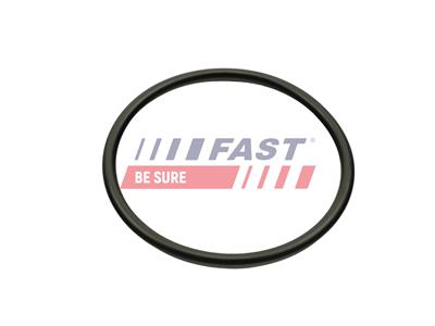 FAST FT49503 EAN: 5904157835698.