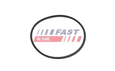 FAST FT49467 EAN: 5904157821080.