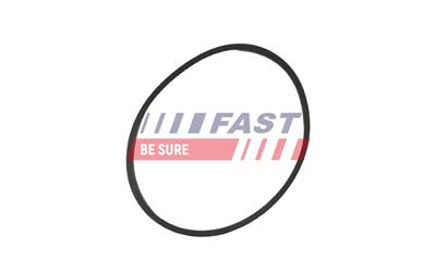 FAST FT49376 EAN: 5901797041281.