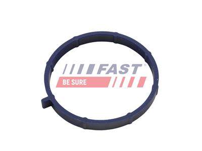 FAST FT49467 EAN: 5904157821080.