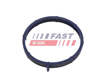 FAST FT49467 EAN: 5904157821080.