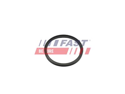 FAST FT49857 EAN: 5904157887536.