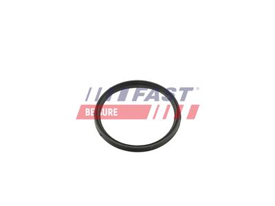 FAST FT49847 EAN: 5901797091248.