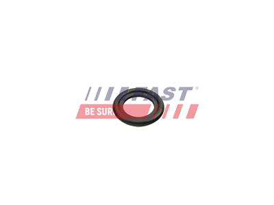 FAST FT49860 EAN: 5904157884467.