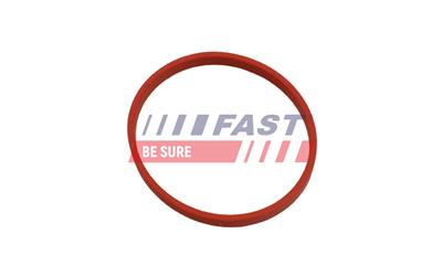 FAST FT49868 EAN: 5904157889875.