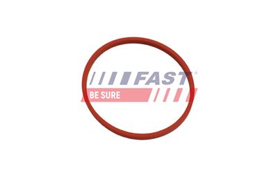 FAST FT49861 EAN: 5904157848377.