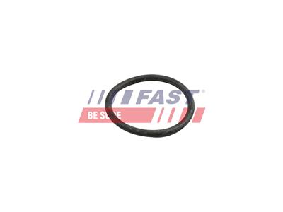 FAST FT49918 EAN: 5904157812835.