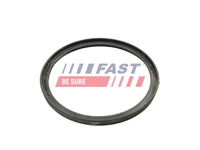 FAST FT49922 EAN: 5904157818813.