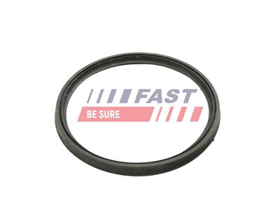 FAST FT49922 EAN: 5904157818813.