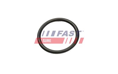 FAST FT50013 EAN: 5901797016203.