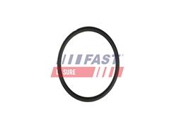 FAST FT49931