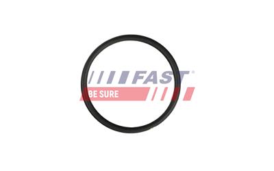 FAST FT49931