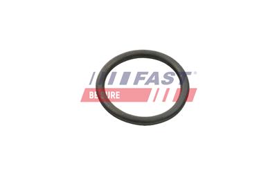 FAST FT50407 EAN: 5904157836213.