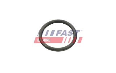 FAST FT50407 EAN: 5904157836213.