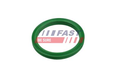 FAST FT49919 EAN: 5904157804809.