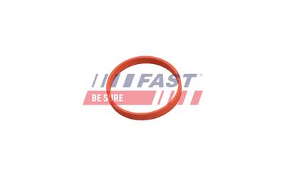 FAST FT50620 EAN: 5904157870088.