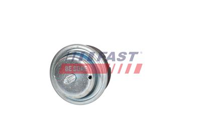 FAST FT52520 EAN: 2000005287824.