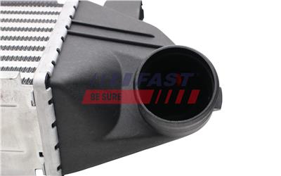 FAST FT55596 EAN: 5904157884382.