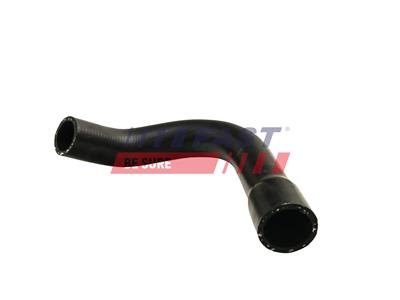 FAST FT61169 EAN: 5904157895517.